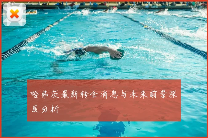 哈弗茨最新转会消息与未来前景深度分析