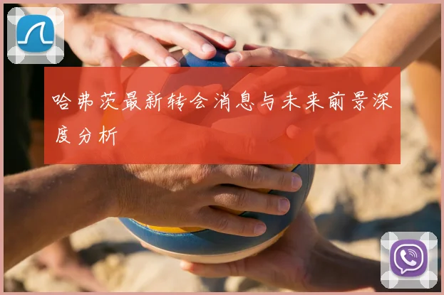 哈弗茨最新转会消息与未来前景深度分析