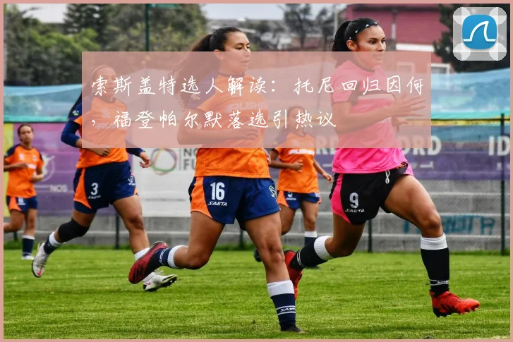 索斯盖特选人解读：托尼回归因何，福登帕尔默落选引热议