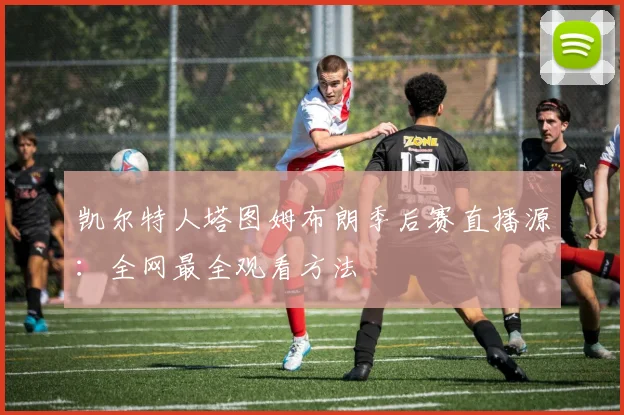 凯尔特人塔图姆布朗季后赛直播源：全网最全观看方法