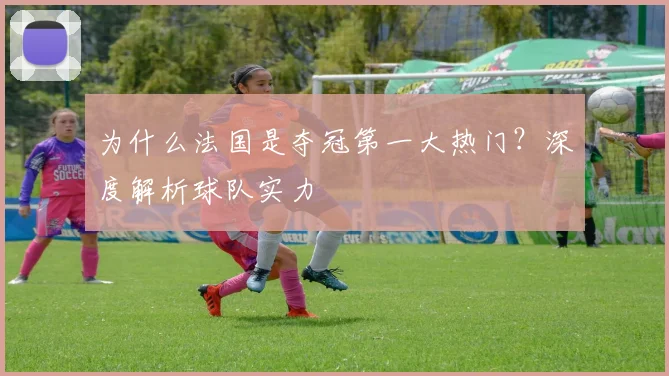 为什么法国是夺冠第一大热门？深度解析球队实力