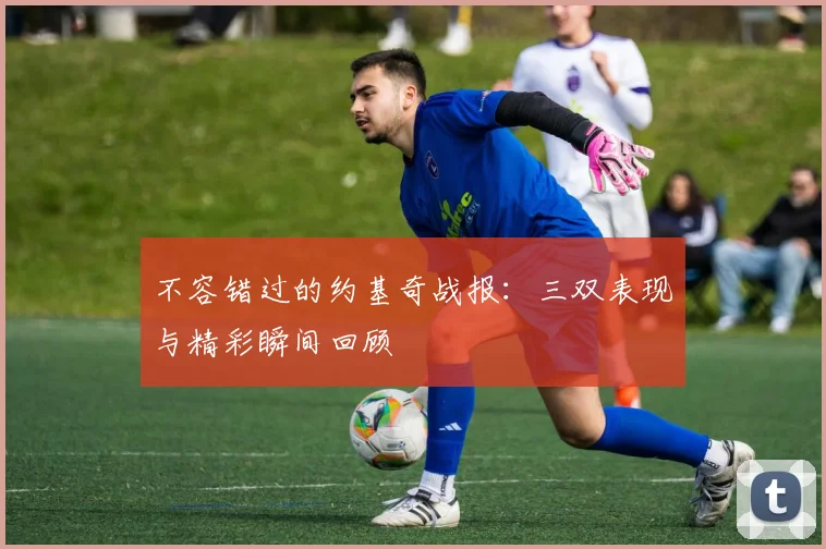 不容错过的约基奇战报：三双表现与精彩瞬间回顾